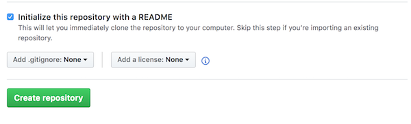 Screenshot of initializing the new repository